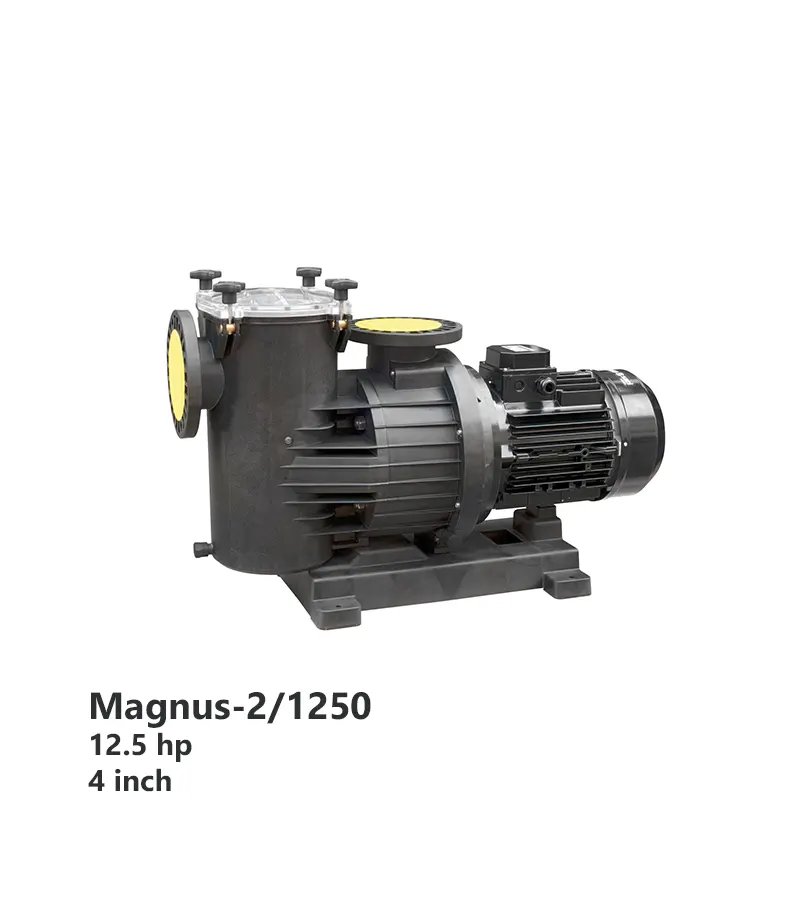 پمپ تصفیه استخر SACI مدل Magnus-2/1250